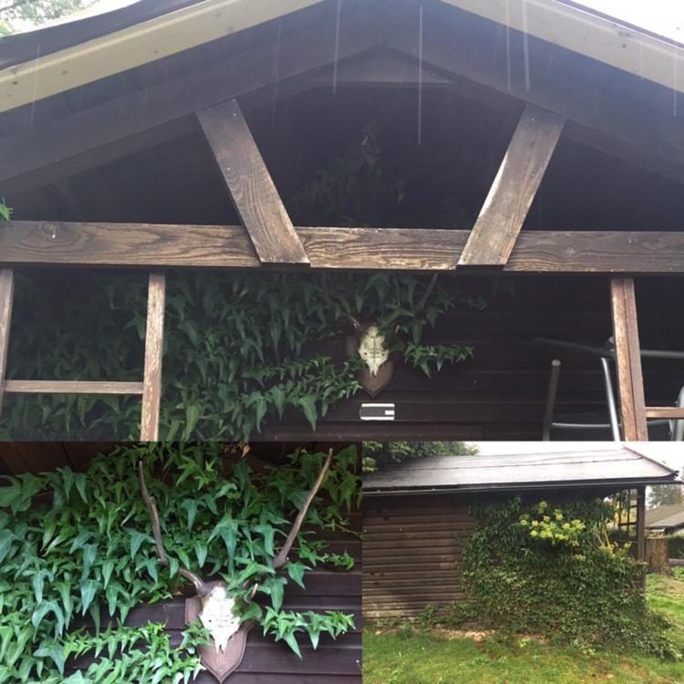 Ferienhaus Braunfels 빌라 외부 사진
