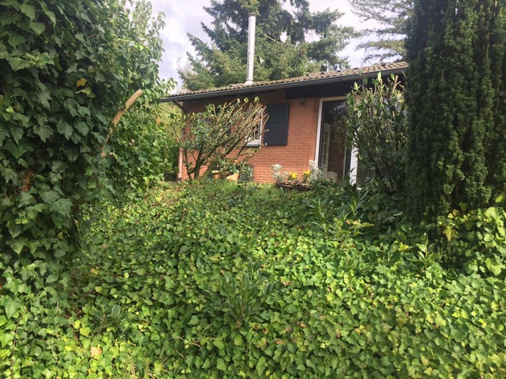 Ferienhaus Braunfels 빌라 외부 사진